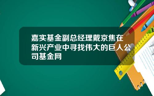 嘉实基金副总经理戴京焦在新兴产业中寻找伟大的巨人公司基金网