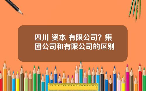 四川 资本 有限公司？集团公司和有限公司的区别