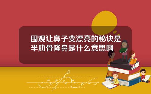 围观让鼻子变漂亮的秘诀是半肋骨隆鼻是什么意思啊
