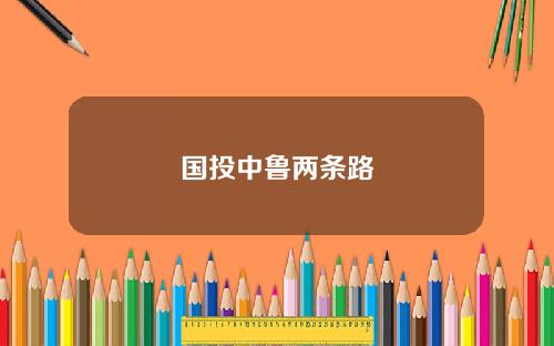 国投中鲁两条路