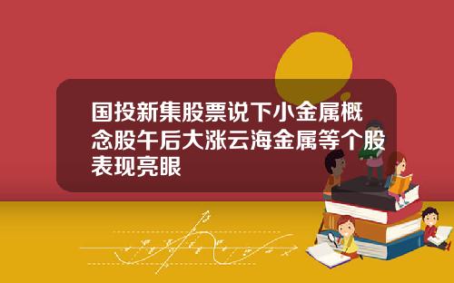 国投新集股票说下小金属概念股午后大涨云海金属等个股表现亮眼