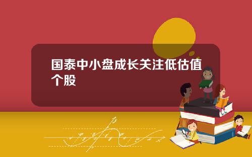 国泰中小盘成长关注低估值个股