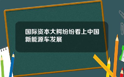 国际资本大鳄纷纷看上中国新能源车发展