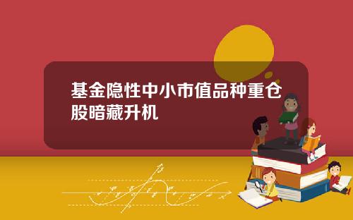 基金隐性中小市值品种重仓股暗藏升机