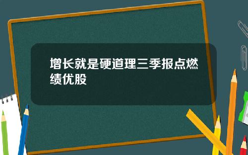 增长就是硬道理三季报点燃绩优股