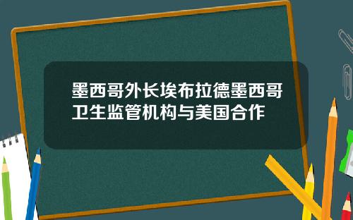 墨西哥外长埃布拉德墨西哥卫生监管机构与美国合作