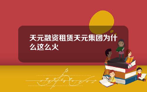 天元融资租赁天元集团为什么这么火