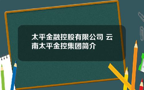 太平金融控股有限公司 云南太平金控集团简介