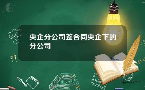 央企分公司签合同央企下的分公司