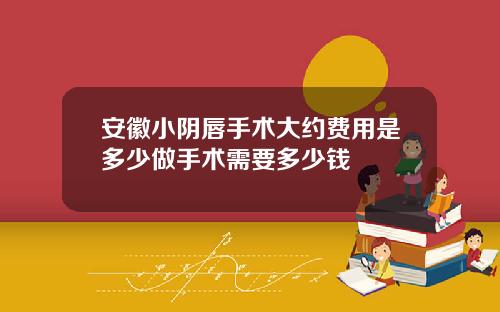 安徽小阴唇手术大约费用是多少做手术需要多少钱