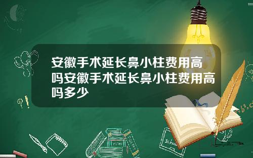 安徽手术延长鼻小柱费用高吗安徽手术延长鼻小柱费用高吗多少