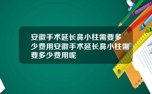 安徽手术延长鼻小柱需要多少费用安徽手术延长鼻小柱需要多少费用呢
