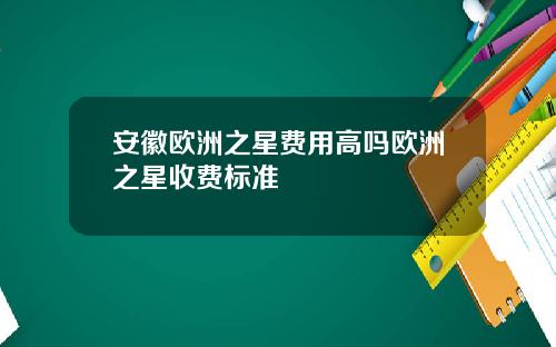 安徽欧洲之星费用高吗欧洲之星收费标准