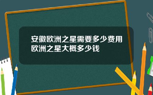 安徽欧洲之星需要多少费用欧洲之星大概多少钱