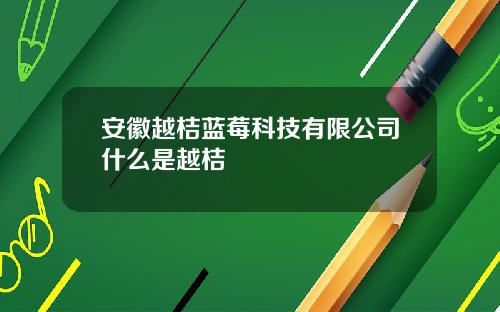 安徽越桔蓝莓科技有限公司什么是越桔