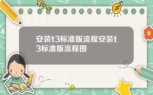 安装t3标准版流程安装t3标准版流程图