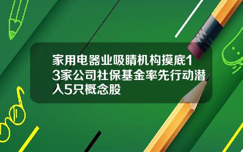 家用电器业吸睛机构摸底13家公司社保基金率先行动潜入5只概念股