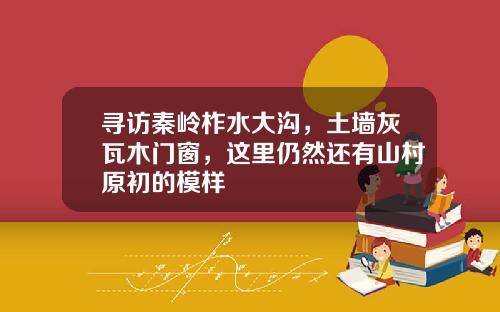 寻访秦岭柞水大沟，土墙灰瓦木门窗，这里仍然还有山村原初的模样