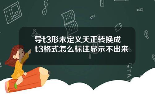 导t3形未定义天正转换成t3格式怎么标注显示不出来