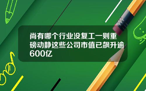尚有哪个行业没复工一则重磅动静这些公司市值已飙升逾600亿