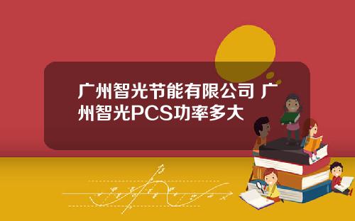 广州智光节能有限公司 广州智光PCS功率多大