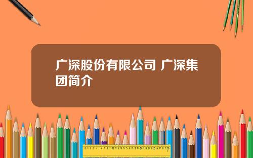 广深股份有限公司 广深集团简介