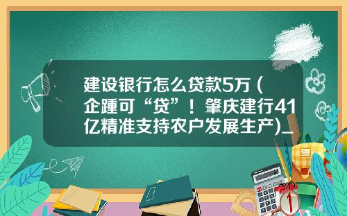 建设银行怎么贷款5万 (企踵可“贷”！肇庆建行41亿精准支持农户发展生产)_1