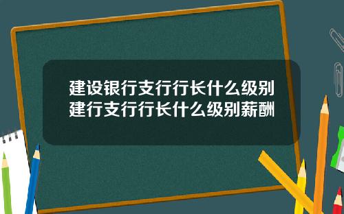 建设银行支行行长什么级别建行支行行长什么级别薪酬