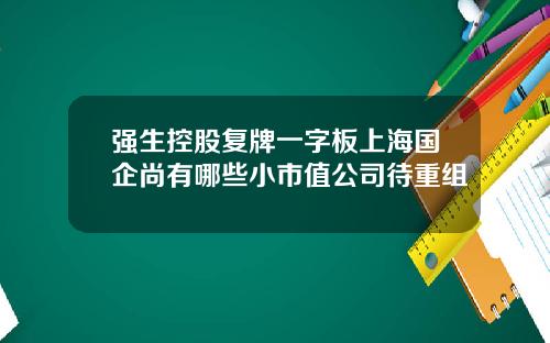 强生控股复牌一字板上海国企尚有哪些小市值公司待重组