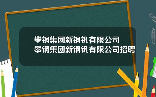 攀钢集团新钢钒有限公司 攀钢集团新钢钒有限公司招聘