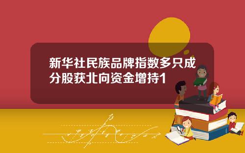 新华社民族品牌指数多只成分股获北向资金增持1