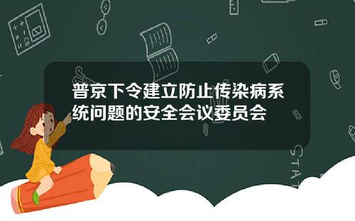 普京下令建立防止传染病系统问题的安全会议委员会