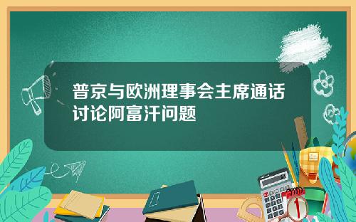普京与欧洲理事会主席通话讨论阿富汗问题