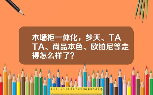 木墙柜一体化，梦天、TATA、尚品本色、欧铂尼等走得怎么样了？