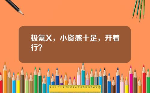 极氪X，小资感十足，开着行？