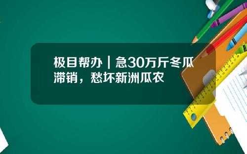 极目帮办｜急30万斤冬瓜滞销，愁坏新洲瓜农