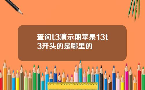 查询t3演示期苹果13t3开头的是哪里的