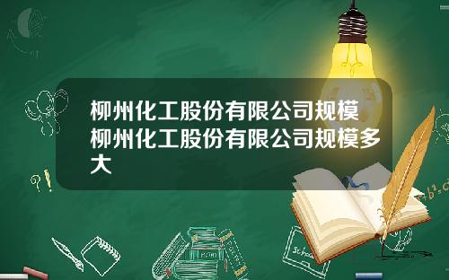 柳州化工股份有限公司规模柳州化工股份有限公司规模多大