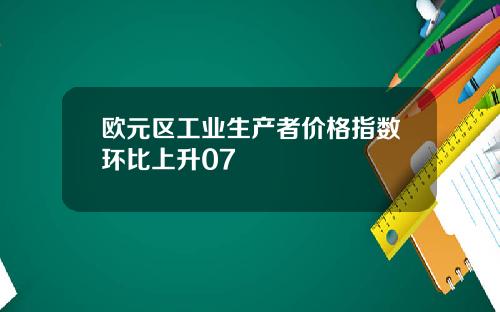 欧元区工业生产者价格指数环比上升07