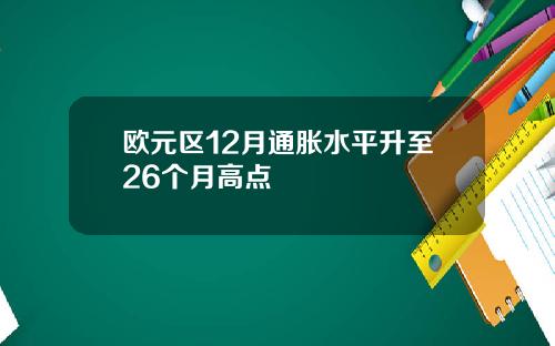 欧元区12月通胀水平升至26个月高点