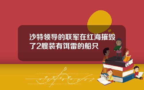 沙特领导的联军在红海摧毁了2艘装有饵雷的船只