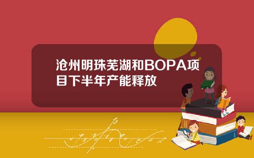 沧州明珠芜湖和BOPA项目下半年产能释放