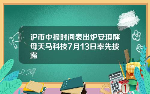 沪市中报时间表出炉安琪酵母天马科技7月13日率先披露