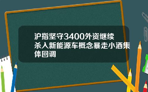 沪指坚守3400外资继续杀入新能源车概念暴走小酒集体回调