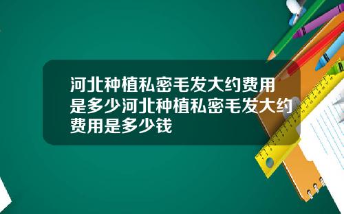 河北种植私密毛发大约费用是多少河北种植私密毛发大约费用是多少钱