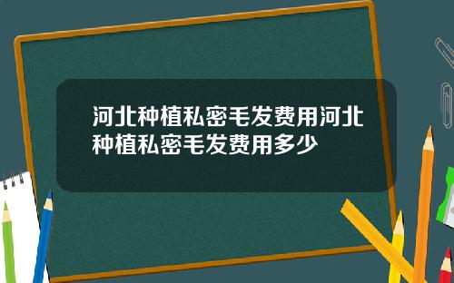 河北种植私密毛发费用河北种植私密毛发费用多少