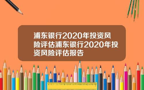 浦东银行2020年投资风险评估浦东银行2020年投资风险评估报告