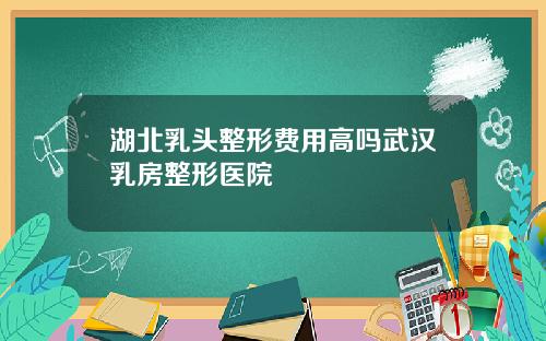 湖北乳头整形费用高吗武汉乳房整形医院