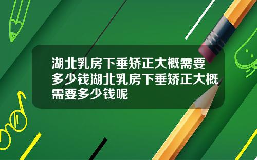 湖北乳房下垂矫正大概需要多少钱湖北乳房下垂矫正大概需要多少钱呢