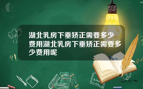 湖北乳房下垂矫正需要多少费用湖北乳房下垂矫正需要多少费用呢